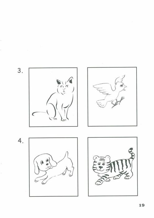 Activity Book - Lollipop English 2圖片